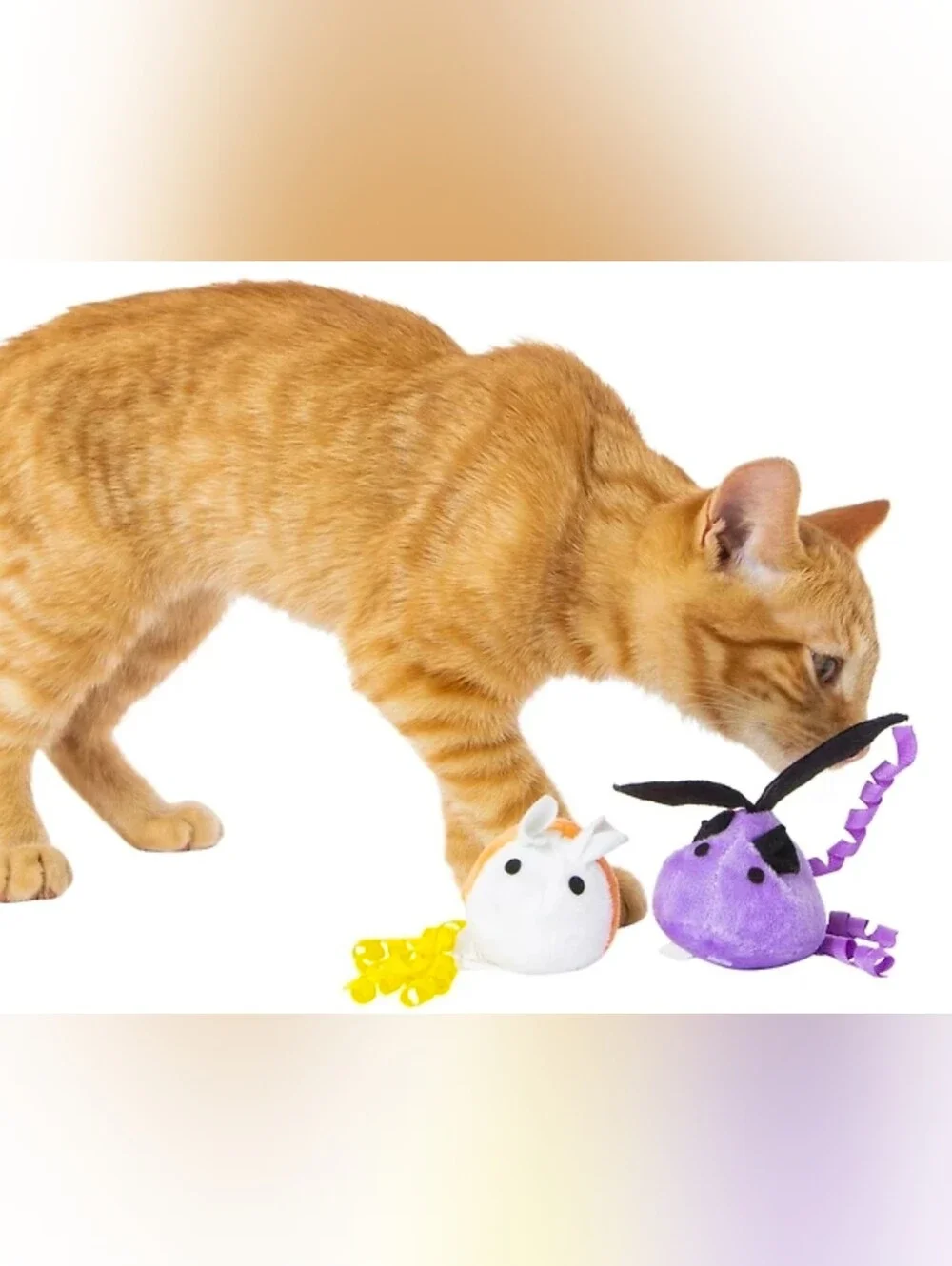 2-Pack Halloween Cat Toys in Chattanooga